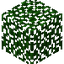 Fir Leaves