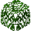 Willow Leaves