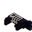 Drained Cat Carcass