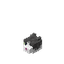 Cat Head