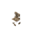 Rabbit Head