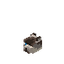 Cat Head