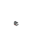 Silverfish Head