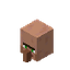 Villager Head