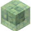 Sea Bunny Slime Block