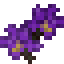 Belladonna Flowers