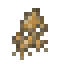 Mandrake Root