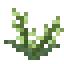 Mugwort Flowers
