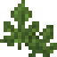 Mugwort Leaves