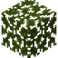Willow Leaves
