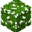 Cherry Leaves