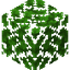 Dark Oak Leaves