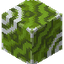 Green Glazed Terracotta