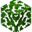 Jungle Leaves