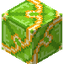 Lime Glazed Terracotta