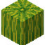 Melon