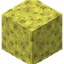 Sponge