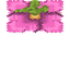 Spore Blossom