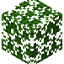 Spruce Leaves