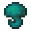 Warped Wart