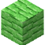Green Bioshroom Planks