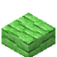 Green Bioshroom Slab