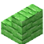 Green Bioshroom Stairs