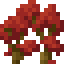 Red Maple Shrub