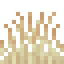 Sandy Grass