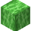 Stripped Green Bioshroom Hyphae