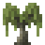 Willow Sapling