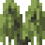 Willow Shrub