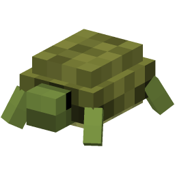 Box Turtle