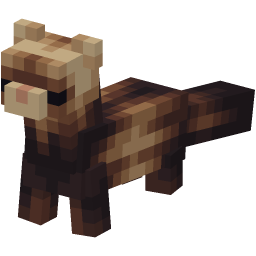 Ferret