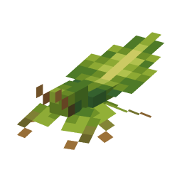 Leaf Insect