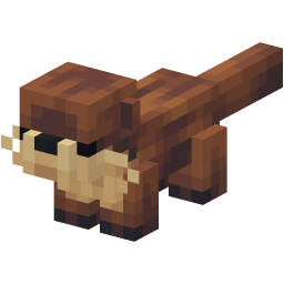 Otter