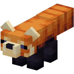 Red Panda