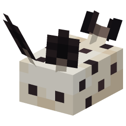 Sea Bunny