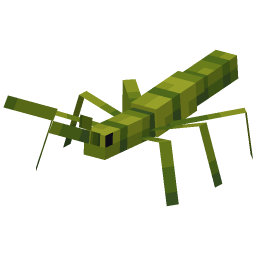 Stick Bug